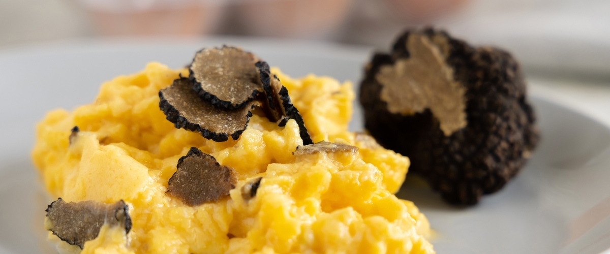 Savory Mornings with Truffle Scrambled Eggs and More