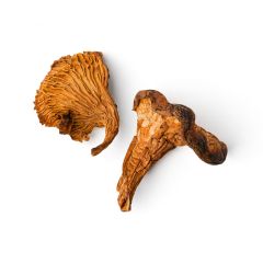 Whole French Golden Chanterelle Mushrooms, Dried