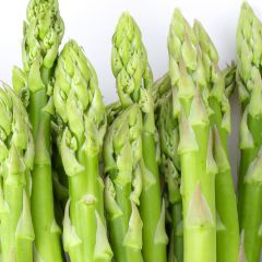 White Asparagus 
