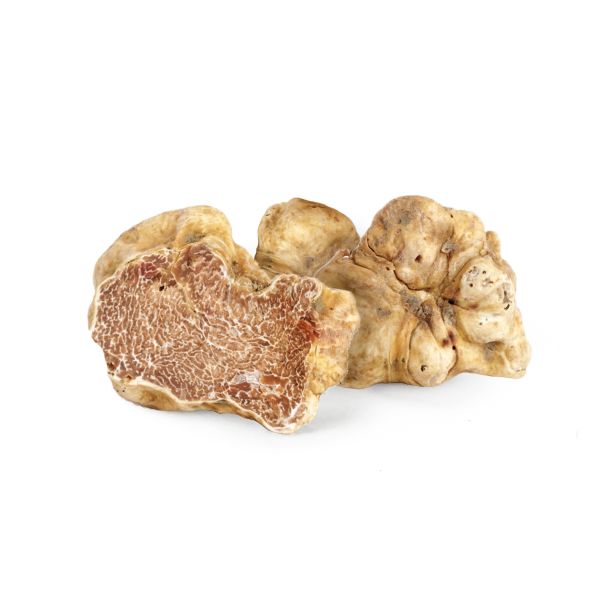 Italian Fresh White Winter Truffle (Alba)