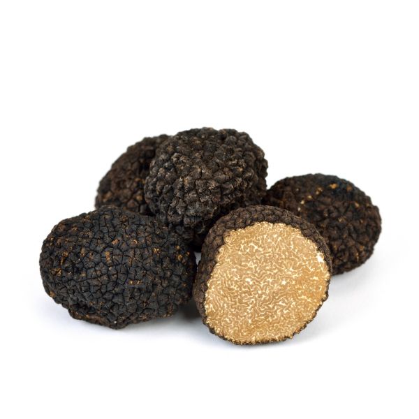 French Fresh Black Autumn Truffle (Burgundy)