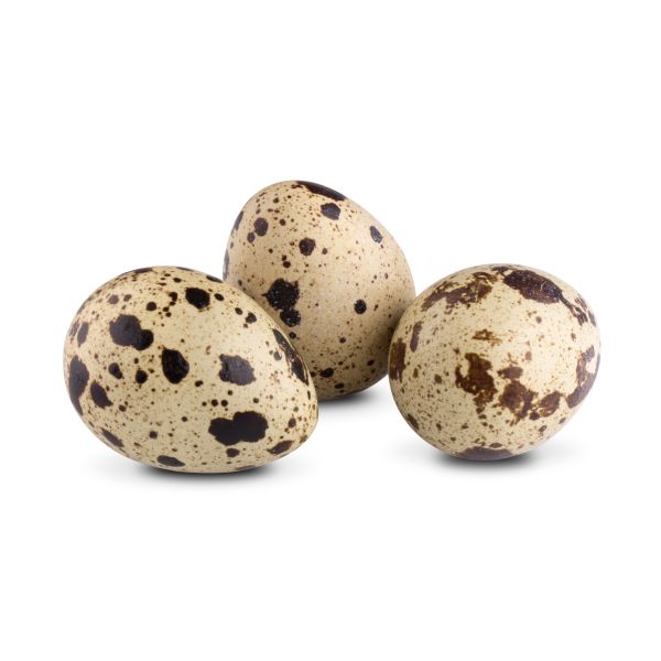 Quail Eggs