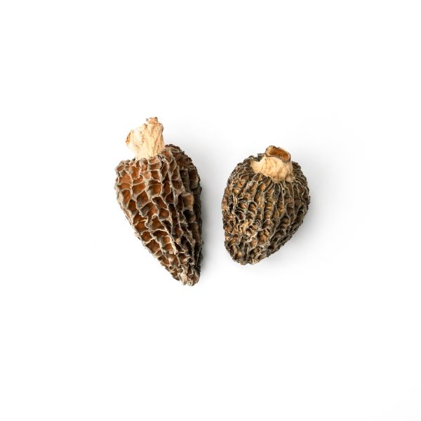 Whole French Morel Mushrooms, Dried