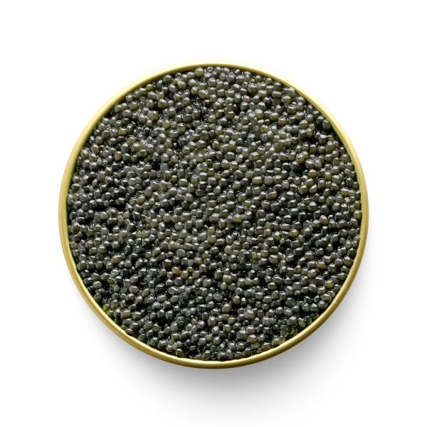 Marky's - American Paddlefish Caviar 0108xx - Open tin, open white