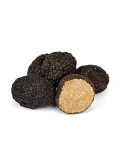 French Fresh Black Autumn Truffle (Burgundy)