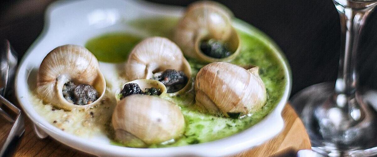 Escargot Escapade: A Beginner's Guide to Gourmet Snail Cookery