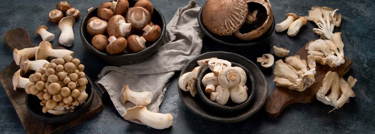 9 Varieties of Mushroom to Help You Make a Fantastic Stir-Fry