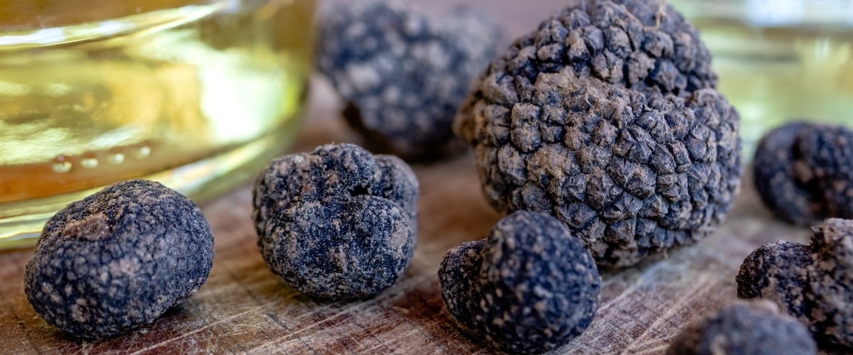 Elevate Your Dining Experience with Perfect Black Truffle and Wine Pairings