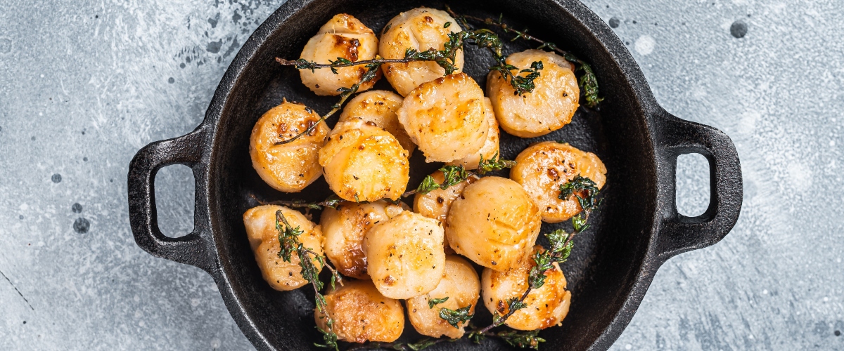 Secrets of the Sea: Mastering the Art of Perfectly Seared Scallops