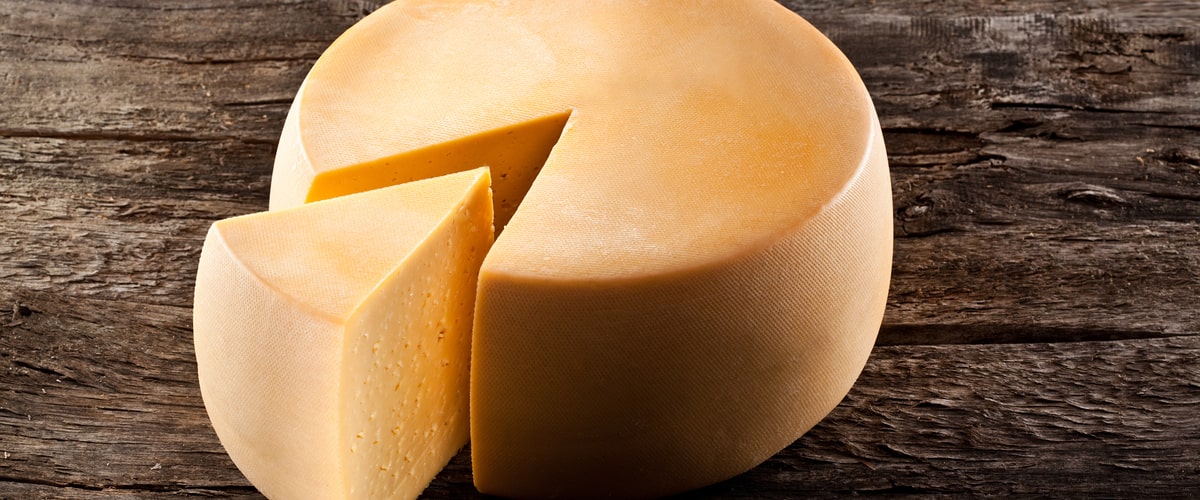 The Ultimate Guide to Cheddar Cheese: History, Varieties, and Flavor Profiles