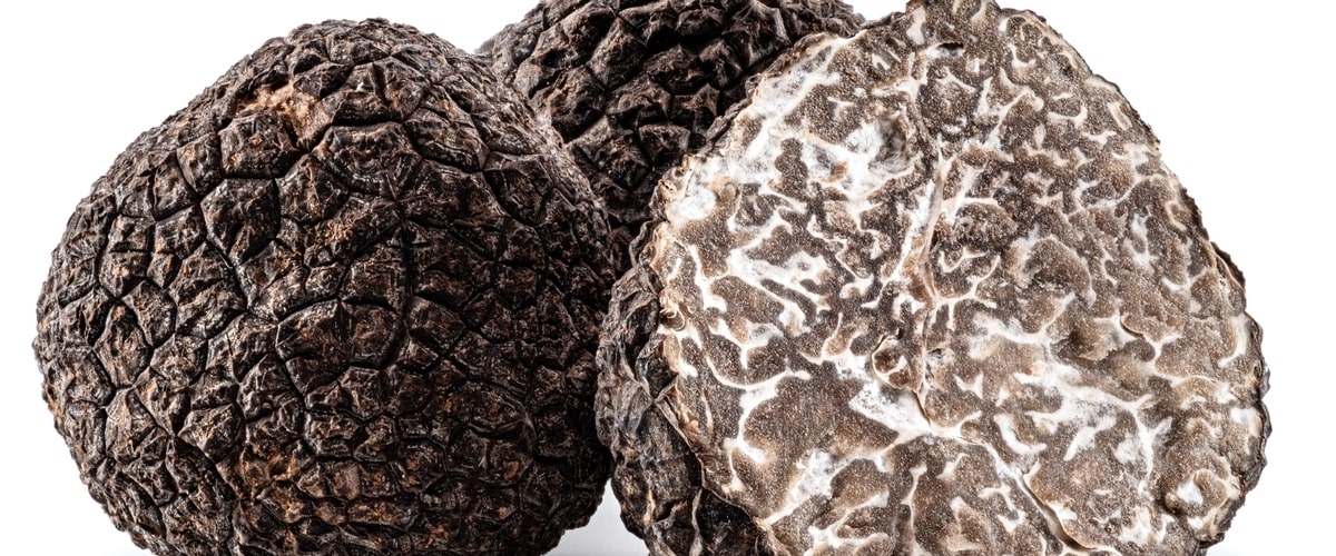 Truffle Tales: Uncovering the Fascinating History and Cultivation of Truffles