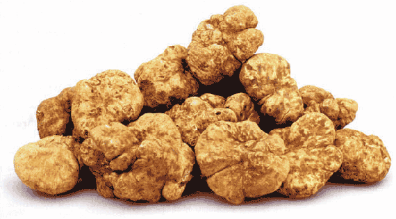 whiteTruffles