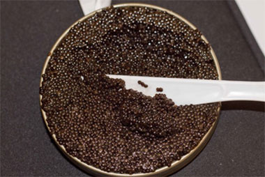 American Bowfin Caviar