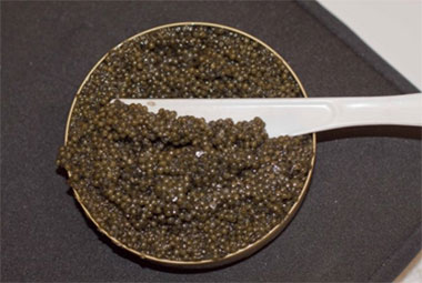 American Paddlefish Caviar