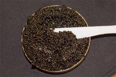 Hackleback Caviar